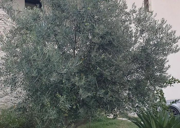 Sea Melody Lägenhet