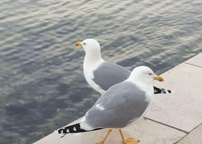 Lägenhet Sea Melody