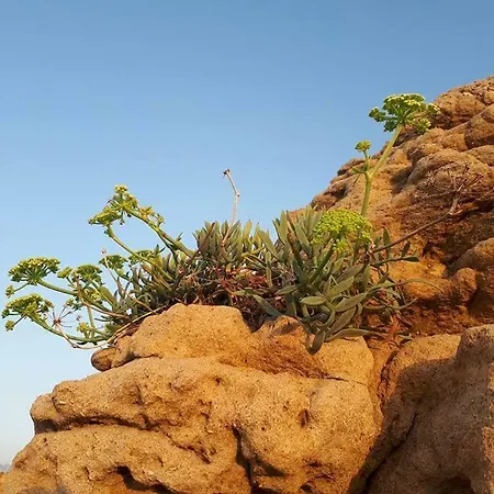 Appartement Sea Melody *