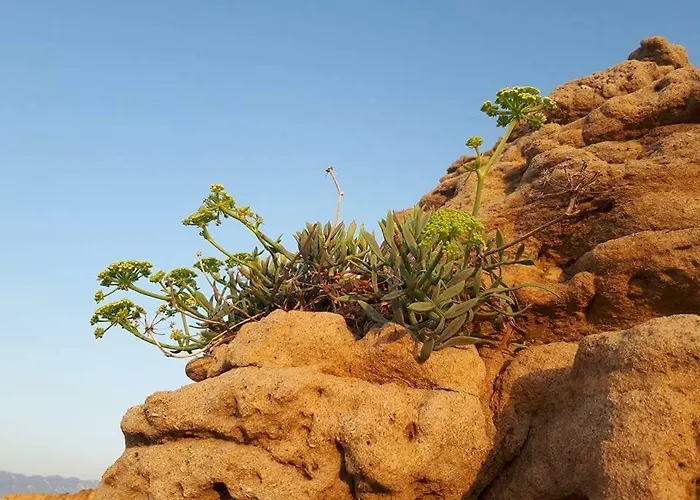 Apartamento Sea Melody *